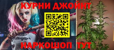 стаф Лесосибирск