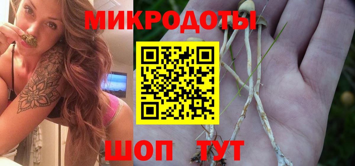 Галлюциногенные грибы GOLDEN TEACHER  Галлюциногенные грибы Psilocybe  Чита  Вход с VPN 